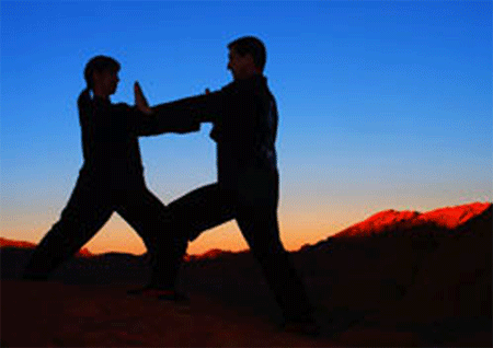 Tai Chi Chuan Push Hands Seminar