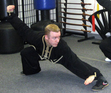 Sifu Don Reynolds practicing Swallow in Hsing I Chuan (Xing Yi Quan)