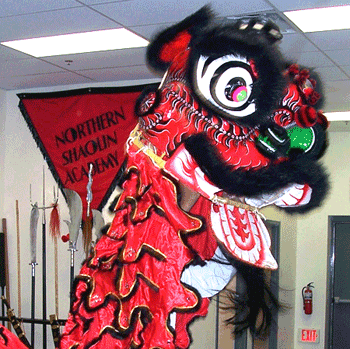 The Northern Shaolin Kung Fu and Tai Chi Academy Lion Dancing