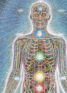 Psychic Energy System from Sacred Mirrors by Alex Grey