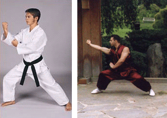 Kung Fu vs Karate or Tae Kwon Do